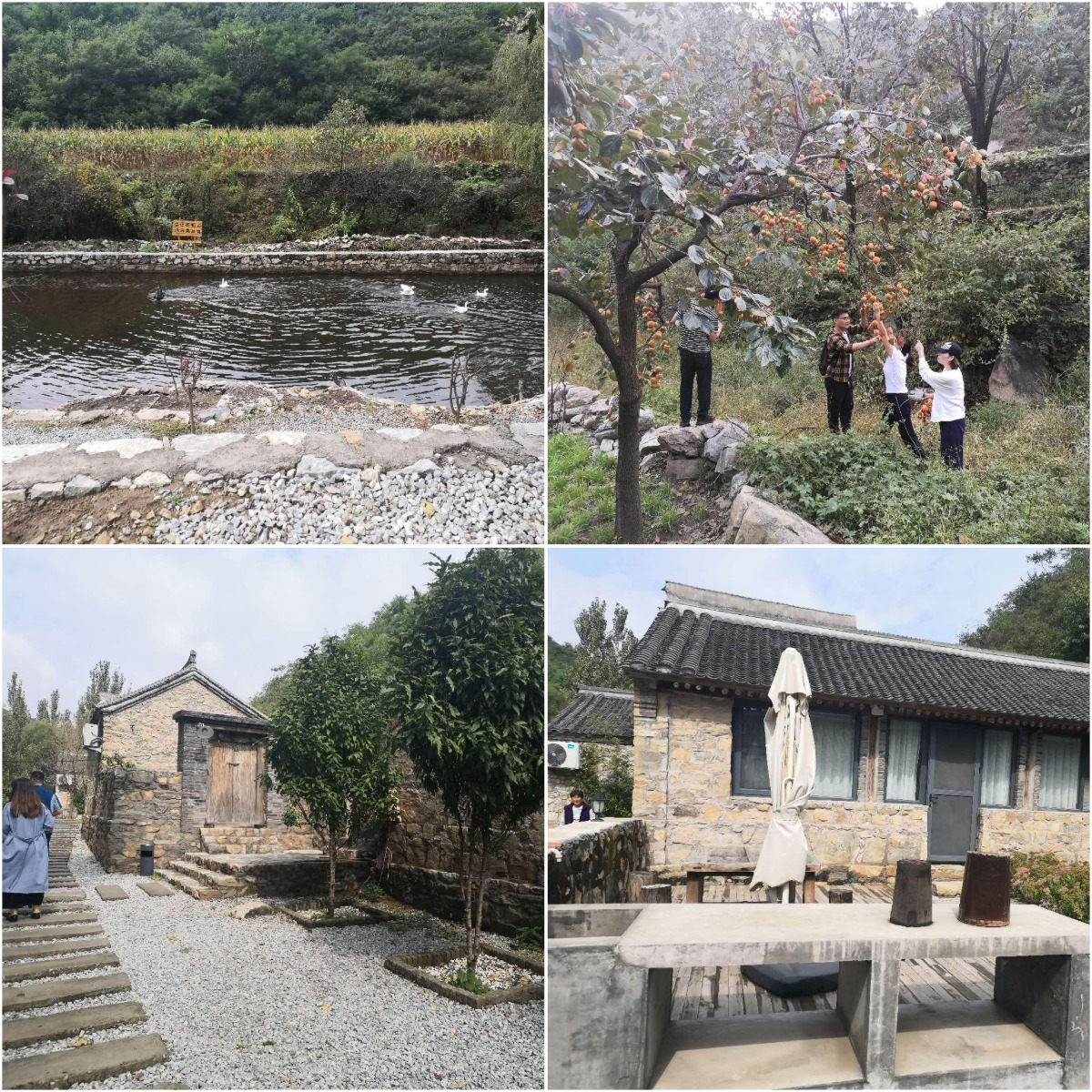 1651310579219545.png 1651310579219545.png